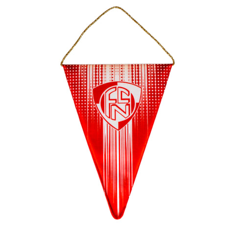 Wimpel gross Dreieck FC Naters